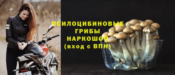 бошки Абаза