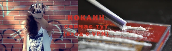 тгк Новокубанск