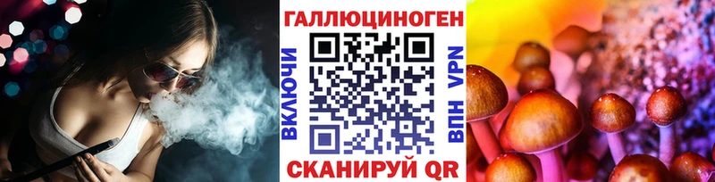 Галлюциногенные грибы Psilocybe Балаково