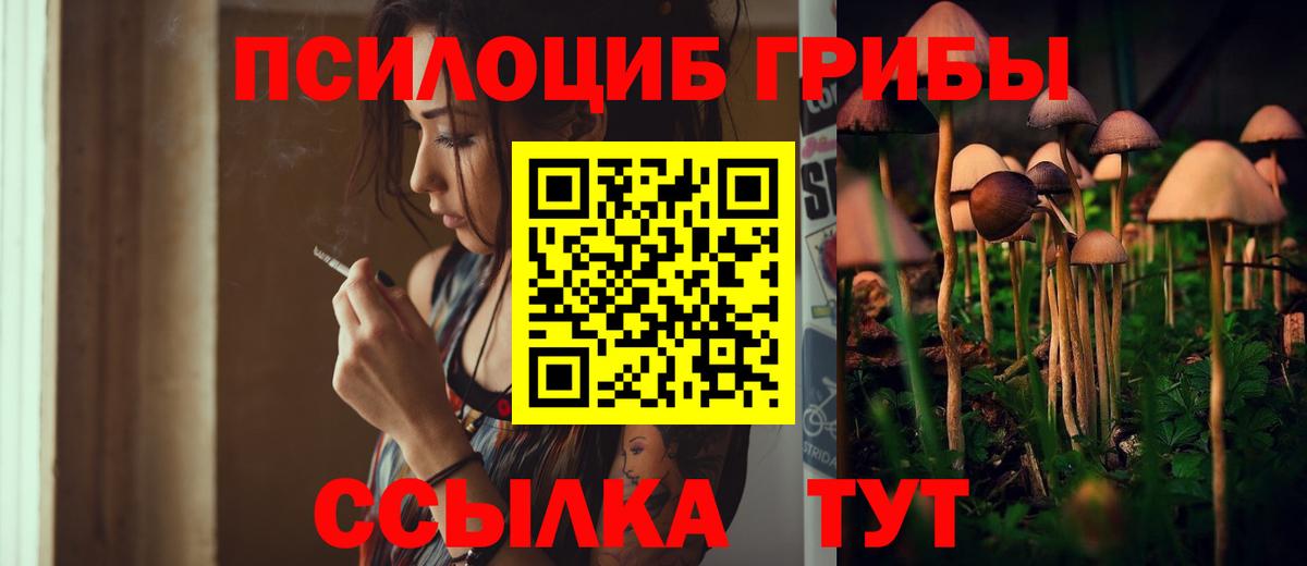 Галлюциногенные грибы мицелий  закладки  Балаково  Вход с VPN 